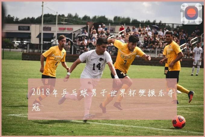 2018年乒乓球男子世界杯樊振东夺冠