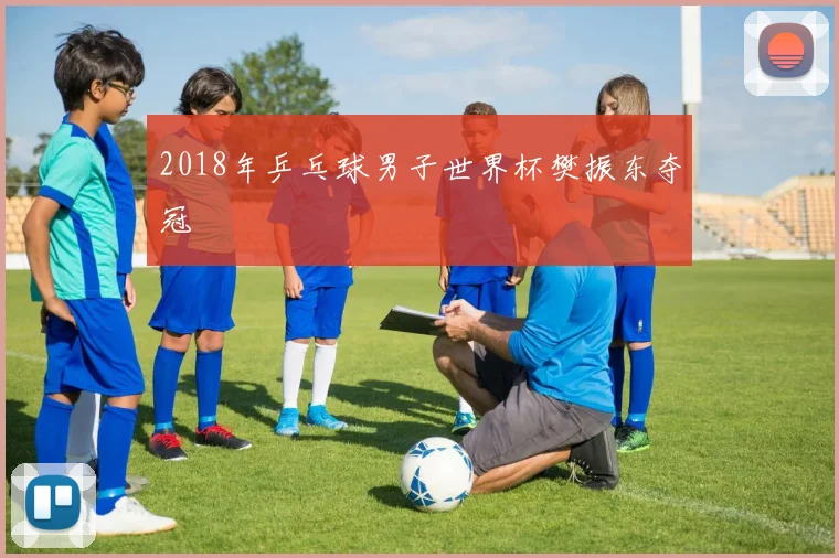 2018年乒乓球男子世界杯樊振东夺冠