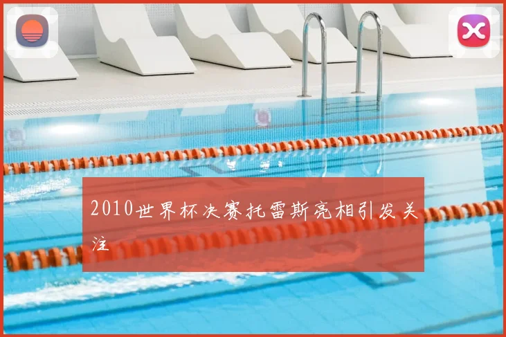 2010世界杯决赛托雷斯亮相引发关注