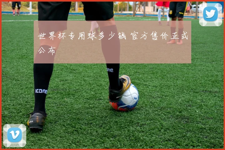 世界杯专用球多少钱 官方售价正式公布