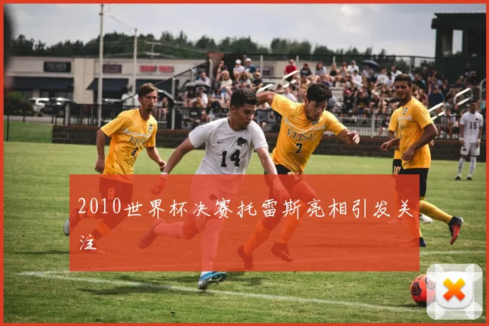 2010世界杯决赛托雷斯亮相引发关注