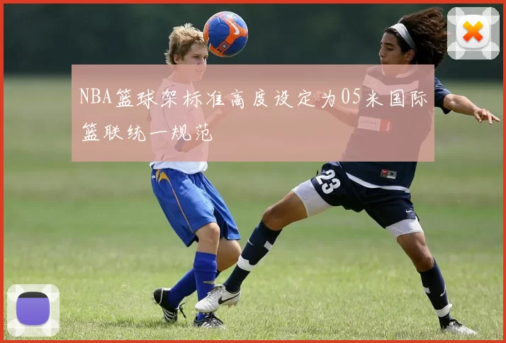 NBA篮球架标准高度设定为05米国际篮联统一规范