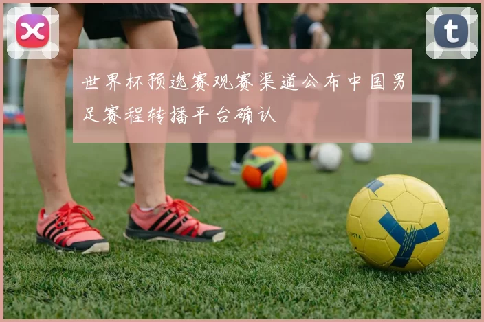 世界杯预选赛观赛渠道公布中国男足赛程转播平台确认