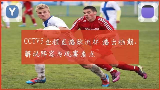 CCTV5全程直播欧洲杯 播出档期、解说阵容与观赛看点