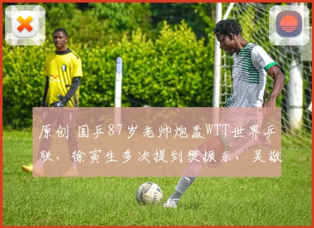 原创 国乒87岁老帅炮轰WTT世界乒联,徐寅生多次提到樊振东,吴敬平表态