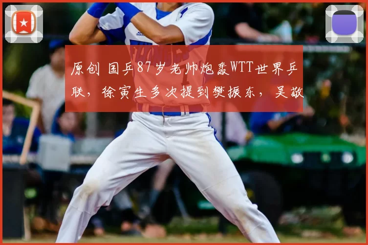 原创 国乒87岁老帅炮轰WTT世界乒联,徐寅生多次提到樊振东,吴敬平表态