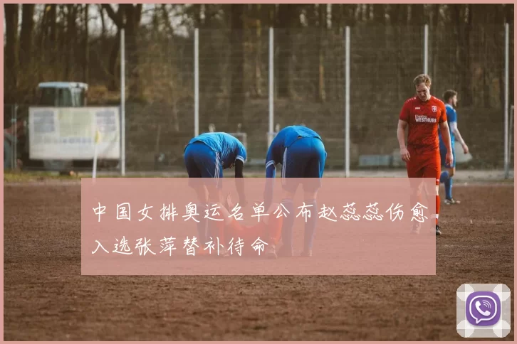 中国女排奥运名单公布赵蕊蕊伤愈入选张萍替补待命